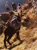 Eh! that climbs! That you do not carry anything, you are seen!