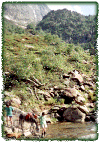stroll in the reserve of Orlu
